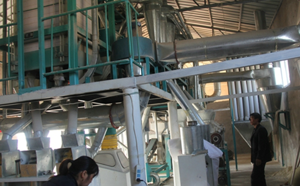 玉米深加工機械去哪兒買?其快速發展所產生的影響有哪些?